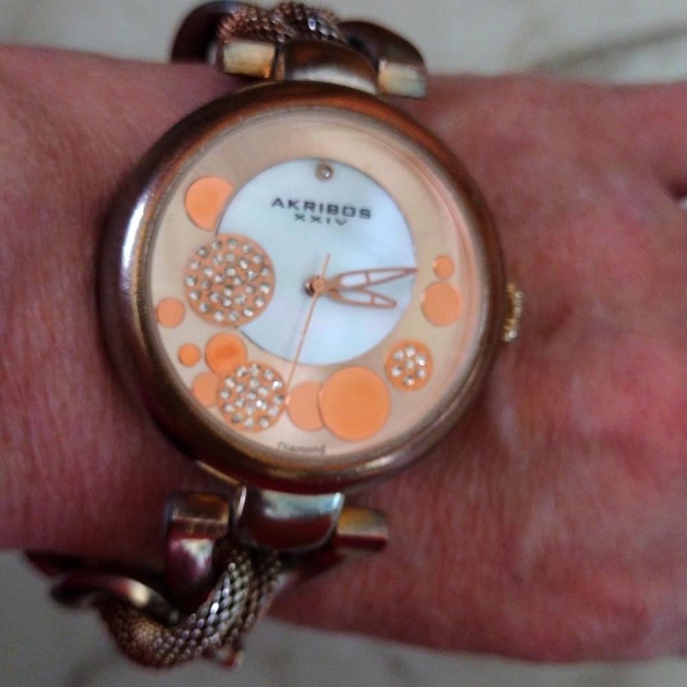 Akribos XXIV watch.